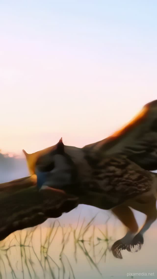 Owl Skims Misty Dawn Lake - Animal AI stock