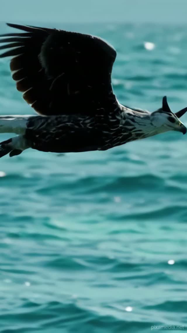 Ocean Eagle's Dive - Wild AI stock